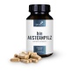 bio_austernpilz_pleurotus_ostreatus_pilzpulverkapseln_120_stk